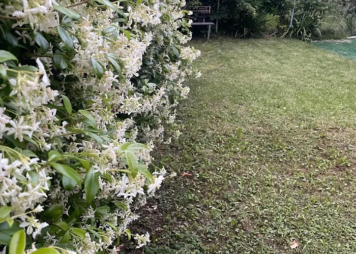 Hébergement de vacances Casa M&n Thiene